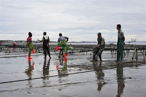 Fish Farming And Land Based Aquaculture In A Desert Environment