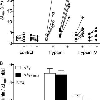 Trypsin Iv Stimulates Enac Currents In X Laevis Oocytes Expressing