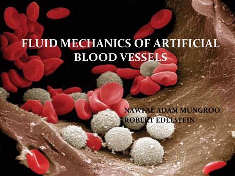 Pdf Fluid Mechanics Of Artificial Blood Vessels Ibrucecourses