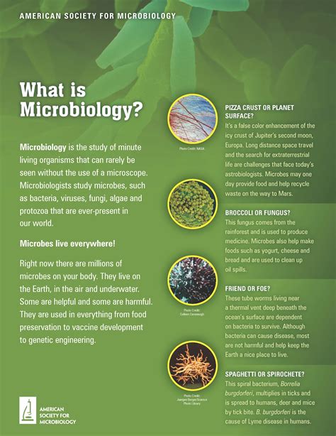 Teachers Market Free Microscopic World Posters For Your Classrooms