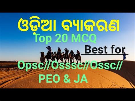 ଓଡଆ ବୟକରଣ Top 20 Odia grammar opsc RI ARI Amin SFS clerical