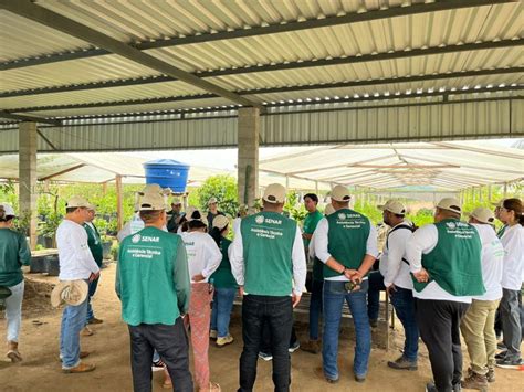 Senar Amazonas Promove Dia De Campo Para T Cnicos Da Ateg Na Fazenda