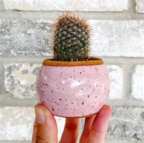 Pink Ceramic Planter Modern Planter Pottery Mini Planter