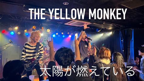 太陽が燃えている The Yellow Monkey カバー Youtube