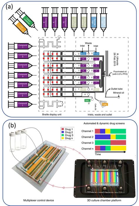 Combinatorial Drug Screening Using A A Plug Based Microfluidic Device