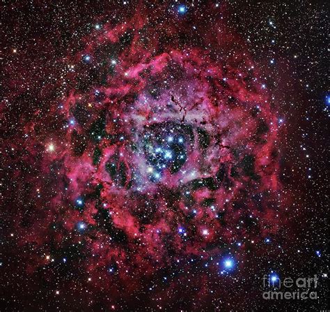 Rosette Nebula By Robert Gendler Science Photo Library