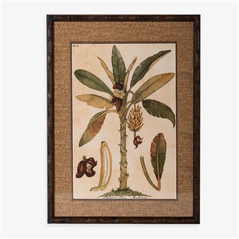 Banana Palm Print Artwork Wall Prints