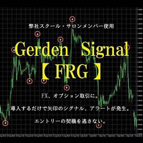 【未使用】3 Fx バイナリーオプション シグナルツール インジケーター Mt4 ツール 手法 エントリー Fx 勝ち方 スキャルピング デイトレ サインツールの落札情報詳細 ヤフオク落札