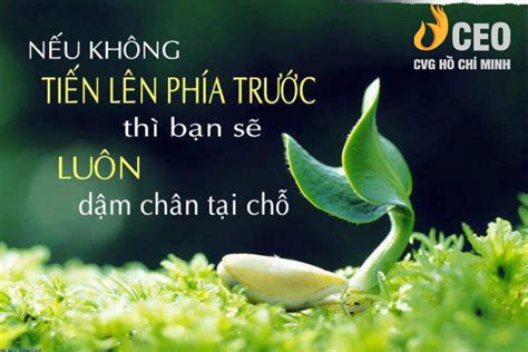 Tuyển Chọn Những Hình ảnh đẹp ý Nghĩa Về Cuộc Sống đầy Cảm Xúc Và ý Nghĩa