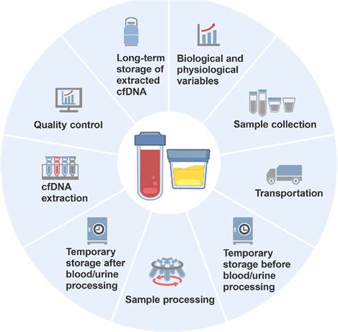 Figure 1 From The Impact Of Preanalytical Variables On The Analysis Of