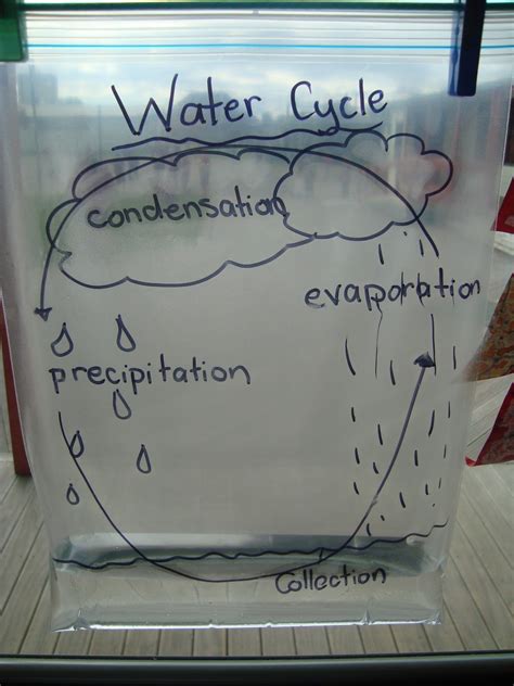 Water Cycle Experiment - Research