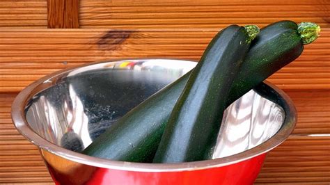 Different Varieties of Zucchini – Agrihortico