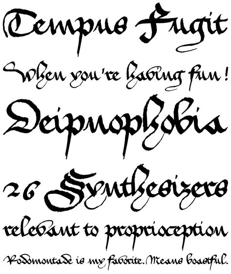 1420 Gothic Script Fonts | Gothic script, Script, Signature fonts