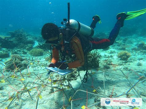 Peningkatan Kapasitas Masyarakat Upaya Rehabilitasi Dan Perlindungan