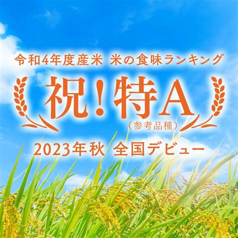 【楽天市場】【ふるさと納税】 ＜お届け回数と容量が選べる定期便＞【コメ鑑定技術日本一の山金】 はれわたり（令和6年産） 5kg･10kg