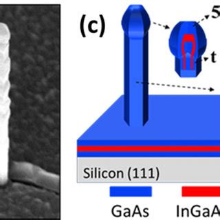 Sem Images Of Single Gaas In Ga As Gaas Core Shell Nws With A