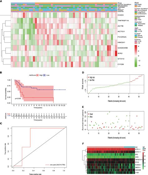 Frontiers Identification Of A Novel Myc Target Gene Set Signature For