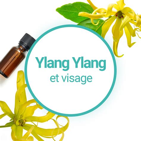 Ylang Ylang Quels Bienfaits Pour Le Visage