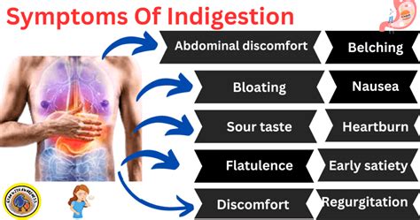 Decoding Indigestion Symptoms Causes And 10 Effective Treatments