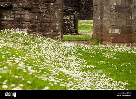 The ruins of Llanthony Priory, Brecon Beacons, Wales Stock Photo - Alamy