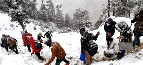 Triund (Himachal Pradesh): Snowfall