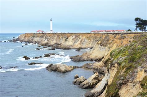 Bay Nature Magazine: A Coastal National Monument Trail Near Point Arena