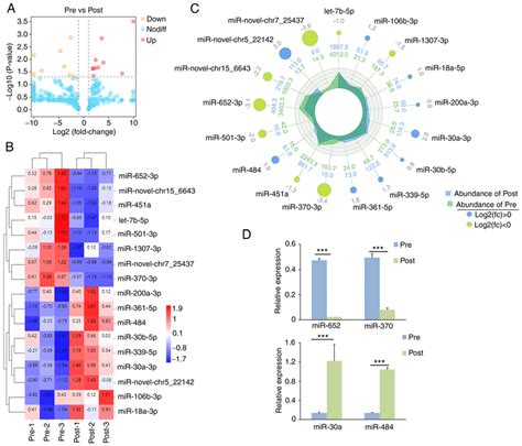 Differential Expression Of Mirnas In Plasma Exosomes Of EScc Patients