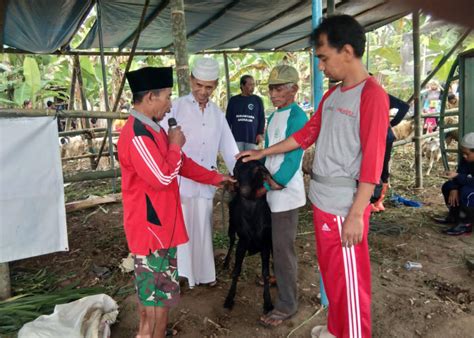 Jumlah Hewan Kurban Meningkat Warga Sanden Kota Magelang Antusias