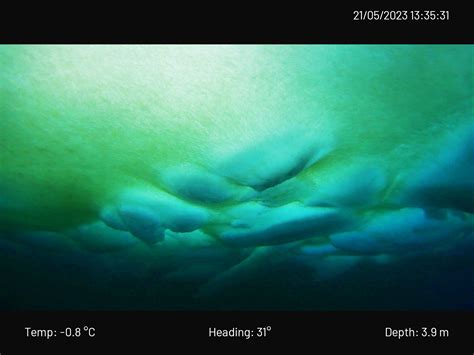 Arctic Ocean is turning green thanks to climate change - Earth.com