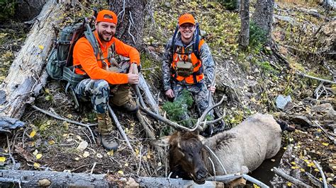 Colorado Elk Hunting On The Uncompahgre Plateau — Dark Timber Lodge