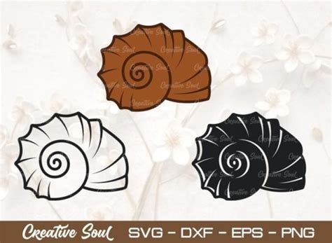 Seashell SVG Bundle Cut File Shellfish Graphic By Creative Soul