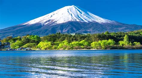 Your Ultimate Guide To Visiting Mount Fuji From Tokyo Trip To Japan