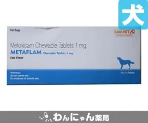 メタフラムチュアブルメタカムジェネリック通販関節炎鎮痛剤わんにゃん薬局