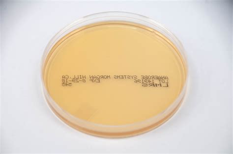 Lactobacilli Mrs Agar Lmrs Anaerobe Systems