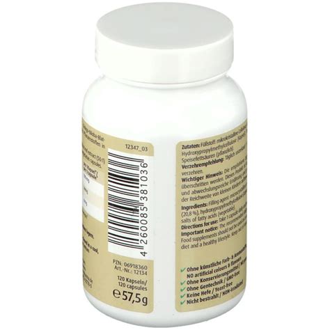 Zeinpharma® Ginkgo Biloba Kapseln 100 Mg 120 St Shop Apotheke