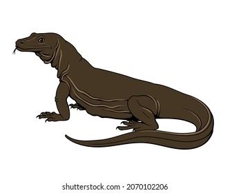 Komodo Waran Dragon Vector Clipart Stock Vector (Royalty Free) 2070102206 | Shutterstock