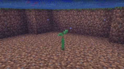 Minecraft Mangrove Tree Guide - All Known Information! - Try Hard Guides