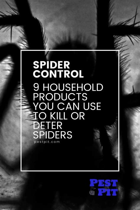 9 Household Products You Can Use To Kill Or Deter Spiders Pest Pit