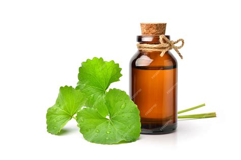 Premium Photo | Gotu kola centella asiatica extract in amber bottle ...