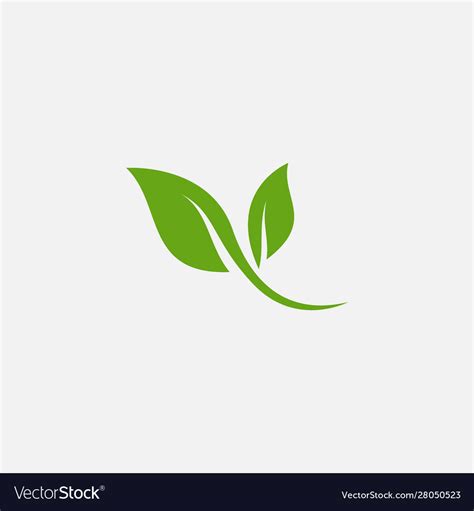 Flat Leaves Icons Leaf Royalty Free Vector Image