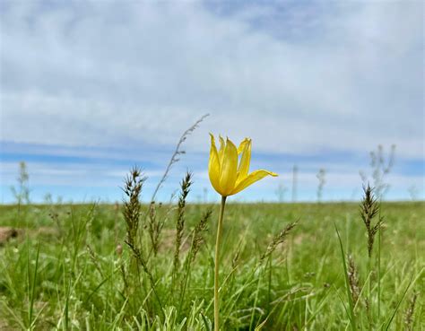 Akmola Region with Diverse Nature Reserves Emerges as Prime Travel