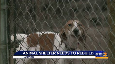 Hampton No Kill Shelter Facing Possible Closure