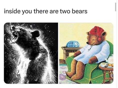 The best Bear memes :) Memedroid