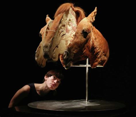 'Animals Inside Out' at London's Natural History Museum