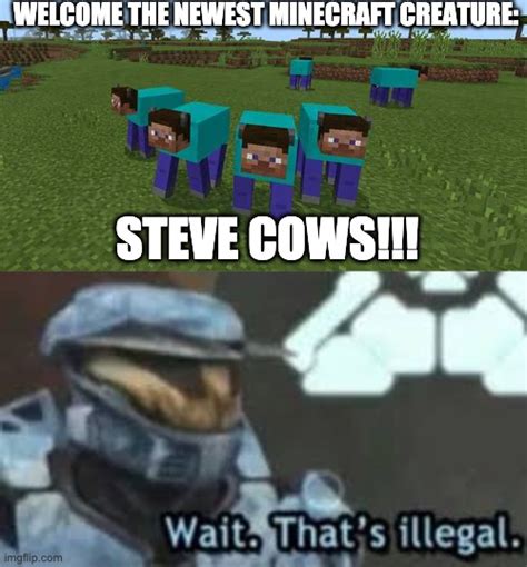 Steve Cows Meme Imgflip