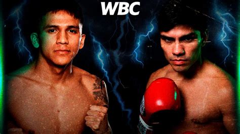 WBC Special Preview Rodriguez Vs Guevara World Boxing Council