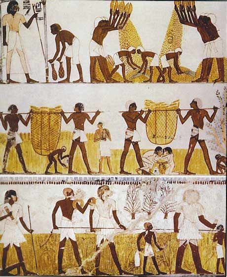 17 Best images about Egyptian Old Kingdom on Pinterest | Egypt, Complex ...