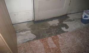 Fort Lauderdale Leak Detection Plumber Fort Lauderdale