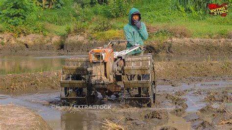 Gaya Santai Joki Muda Traktor Sawah Saat Menata Tanah Youtube