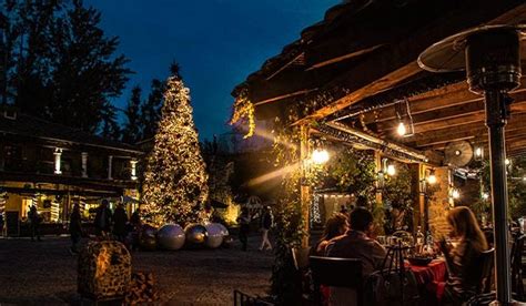 Navideño Puebla Capital y Noche Iluminada en Valquirico